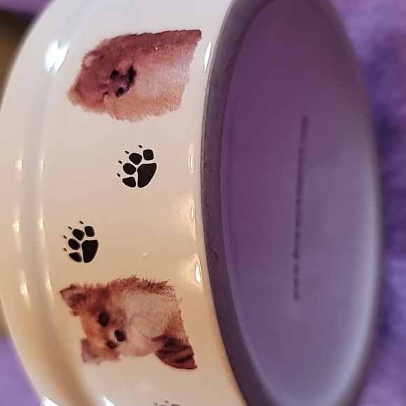 0774. BowWowMeow's Ceramic Decorative Bowl for Small Pet Dogs ~ So classy & Cute - Picture 6 of 7